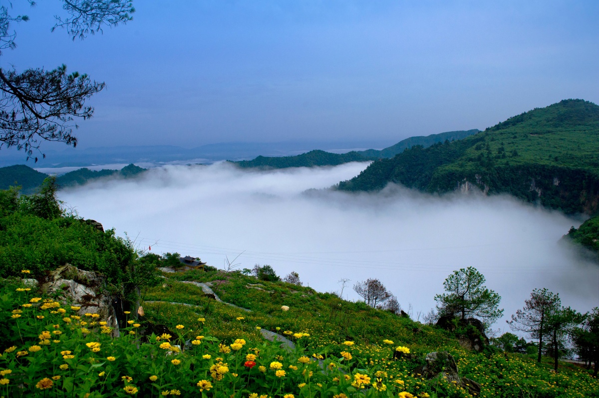 20191108526806.jpg FqQQ3Wcc_8T2k.jpg